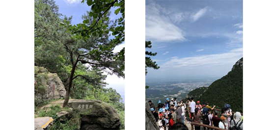 江蘇泰隆減速機(jī)（集團(tuán)）股份有限公司